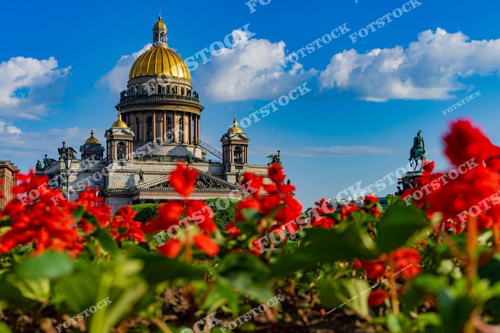На фотографии изображен Исаакиевский собор с его знаменитым золотым куполом, возвышающийся над Исаакиевской площадью. Перед собором красуются клумбы с яркими цветами, создавая красочный контраст с синим небом. Справа виден памятник императору Николаю I, который гармонично вписывается в ансамбль площади. Эта сцена символизирует летний Петербург во всей его исторической и природной красоте.